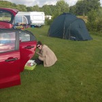 WP_20150721_08_46_10_Pro